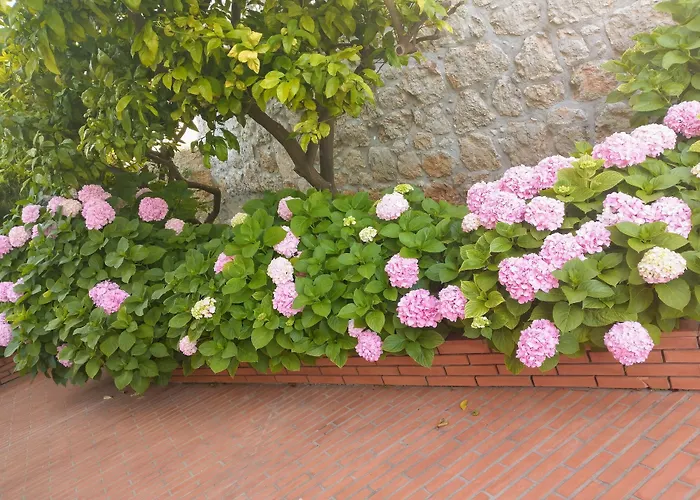 Hotel: Villa Katarina